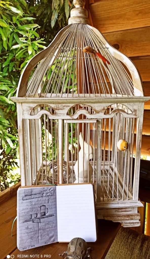 WhatsApp Image 2025-06-20 at 19.41.11 (2)