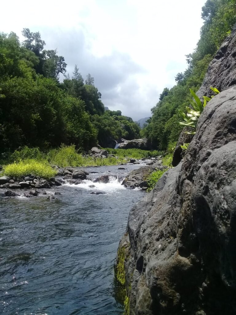 WhatsApp Image 2025-06-20 at 20.00.41