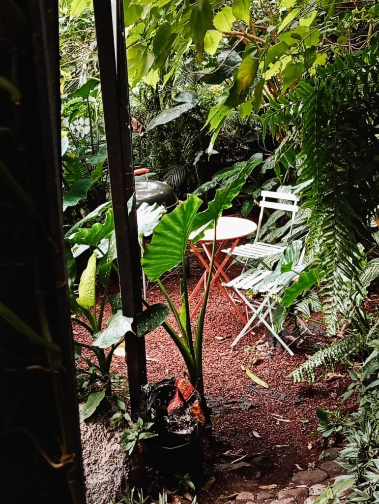 WhatsApp Image 2025-07-13 at 19.03.52