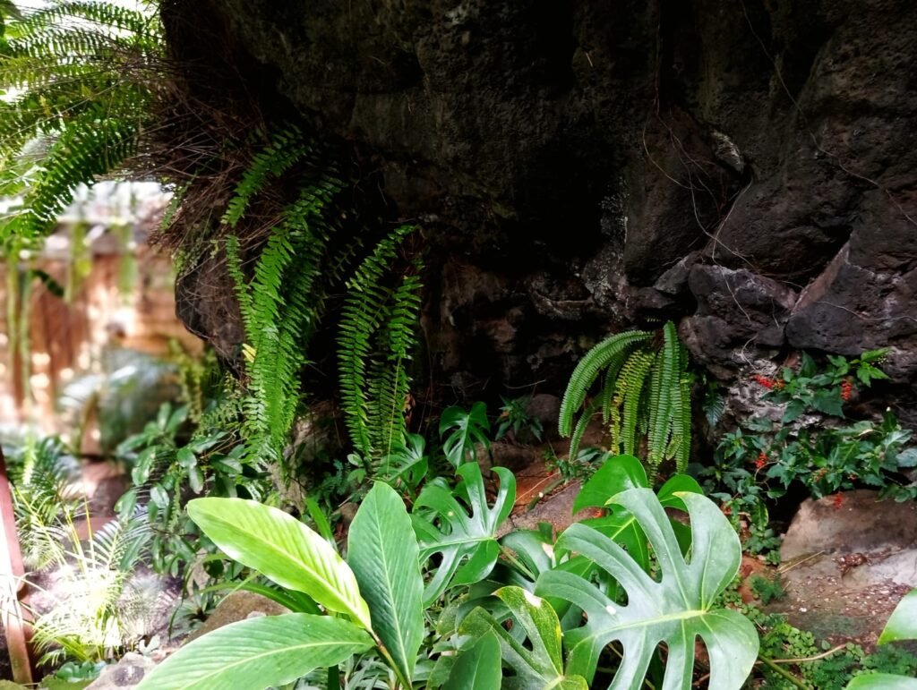 WhatsApp Image 2025-07-13 at 19.05.53