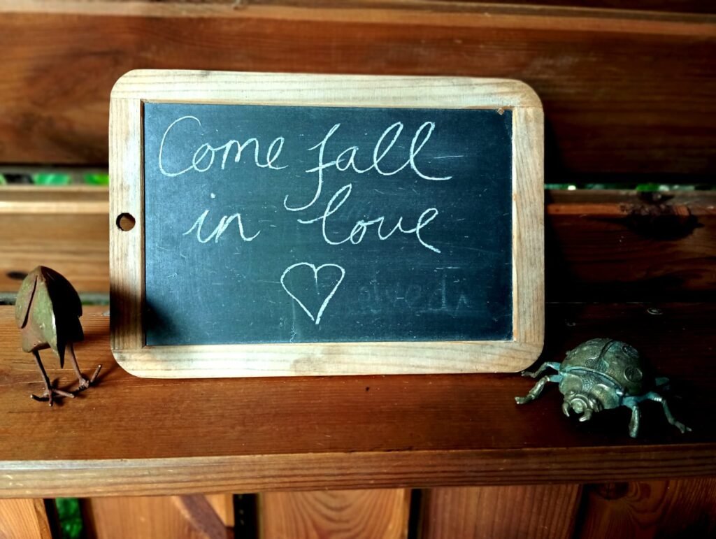 WhatsApp Image 2025-07-13 at 19.05.54