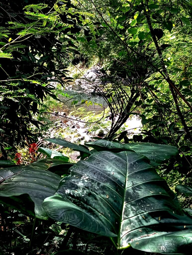 WhatsApp Image 2025-07-13 at 19.05.56