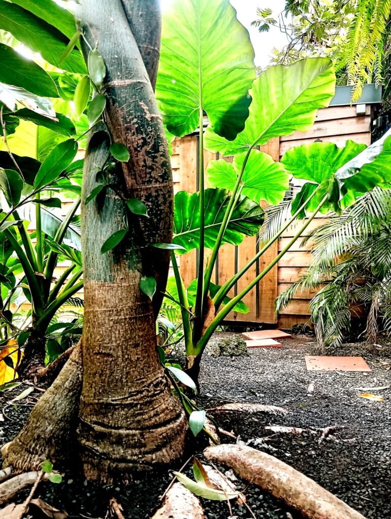 WhatsApp Image 2025-07-13 at 19.06.36