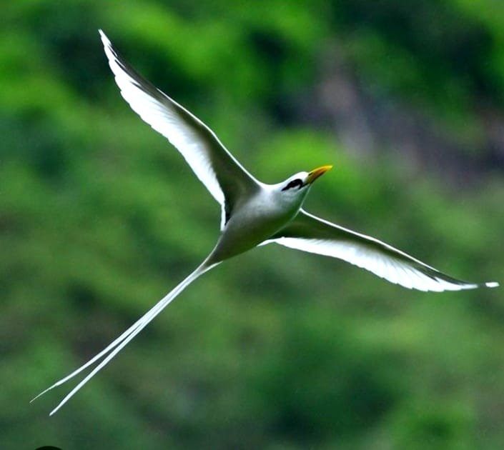 WhatsApp Image 2025-07-13 at 19.06.52